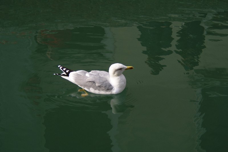Venedig (98).JPG
